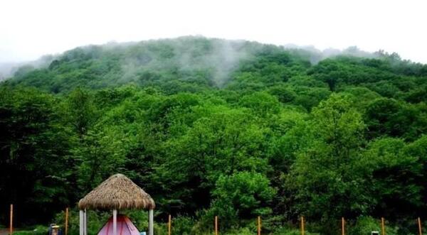عکس از طبیعت نهاوند