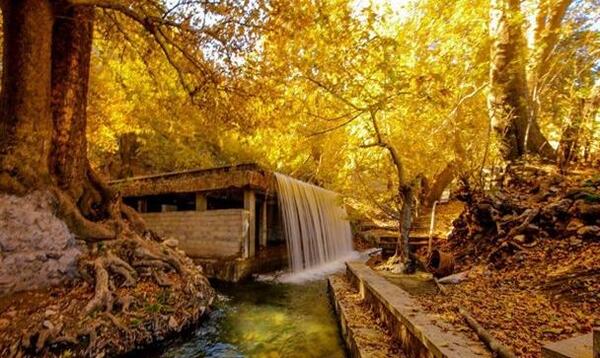 عکس از طبیعت نهاوند