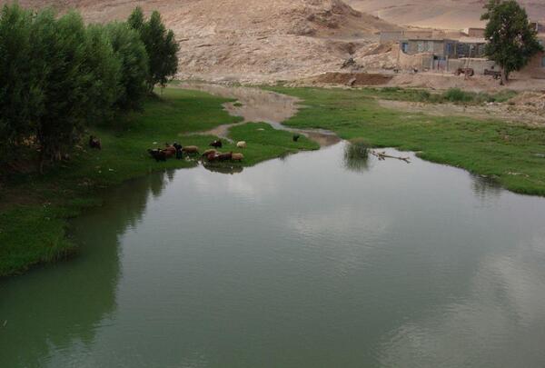 عکس از طبیعت نهاوند