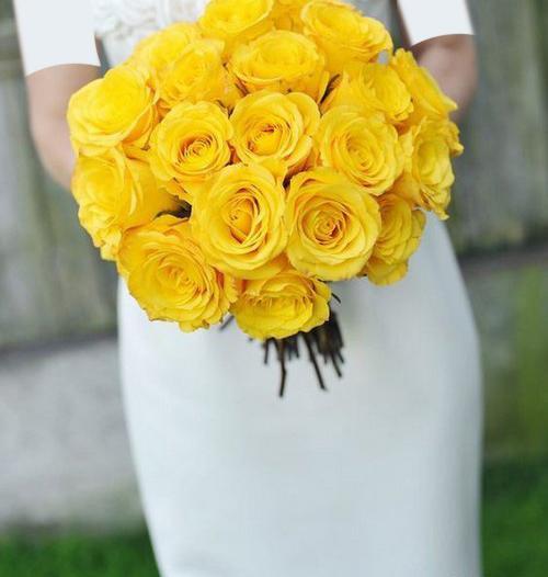 عکس گلهای زرد زیبا