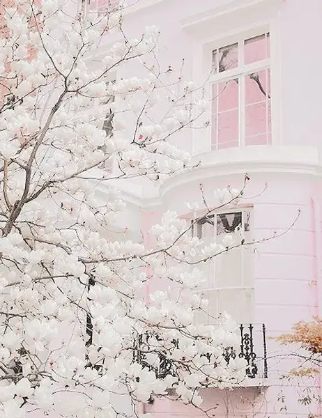 عکس سفید صورتی