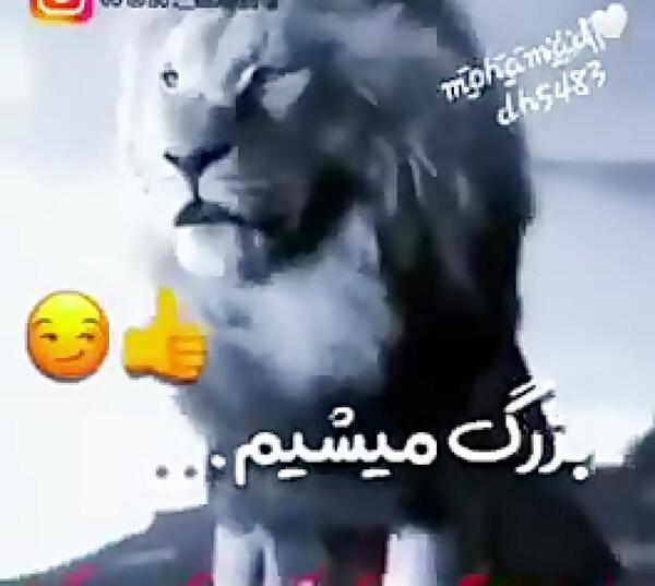 عکس ری مستریو واقعی