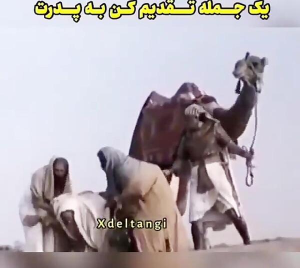 عکس پیمان ادیداس زن