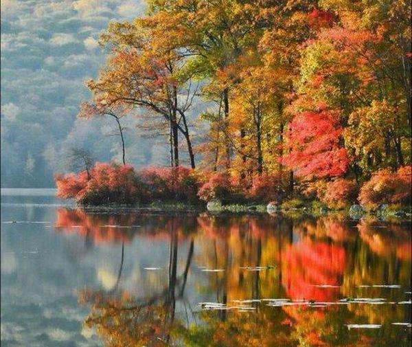 عکس پاییز رنگارنگ