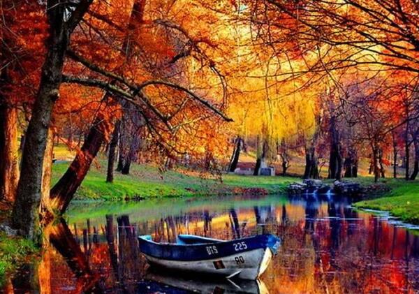 عکس پاییز رنگارنگ