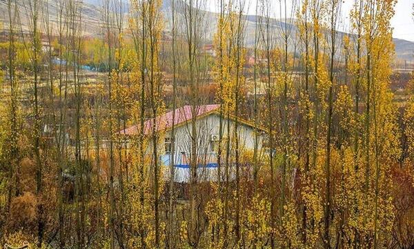 عکس پاییز رنگارنگ