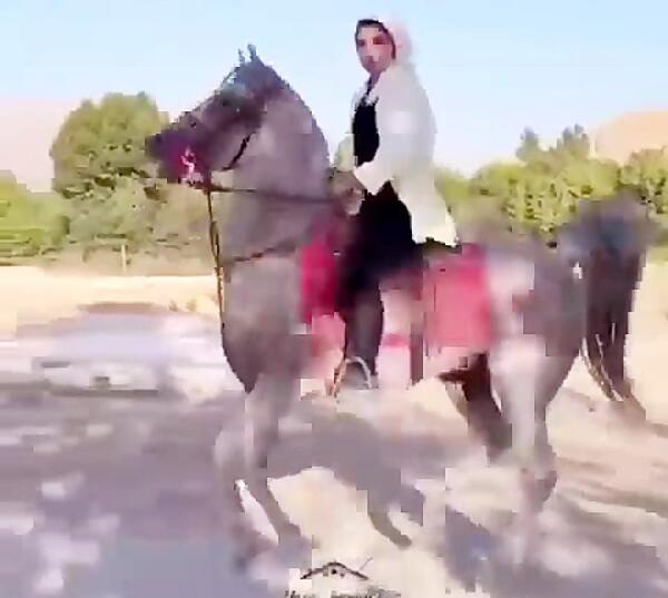 عکس اسب حسین