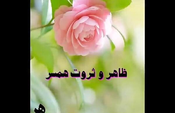 عکس اسب حسین