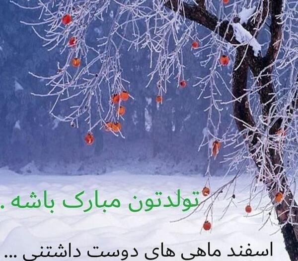 عکس آغاز پادشاهی اسفند ماهی ها