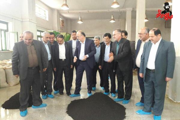 عکس چای فومنات