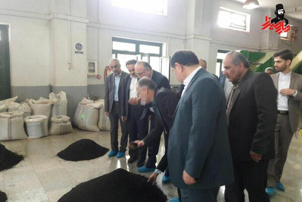عکس چای فومنات