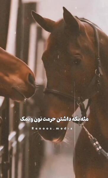عکس نوشته جدید حرف حساب