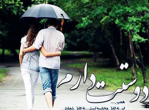 عکس حامد مهراد