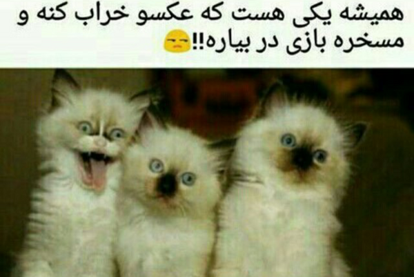 عکس استیکر مسخره
