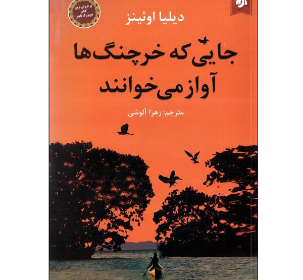 عکسهای دبی فورد