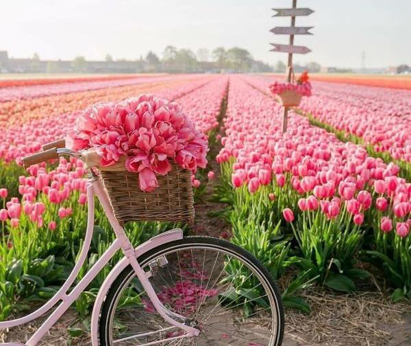 آنرژی مثبت پرانرژی عکس طبیعت برای پروفایل
