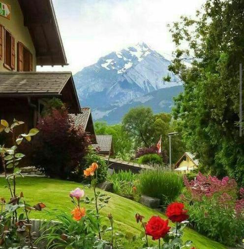 آنرژی مثبت پرانرژی عکس طبیعت برای پروفایل