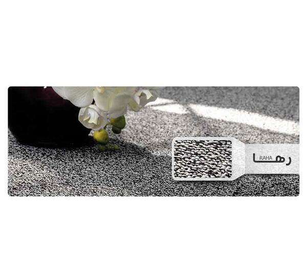 عکس ظریف مصور