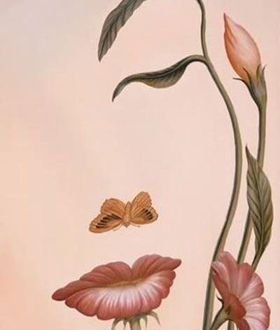 عکس های خطای دید فانتزی