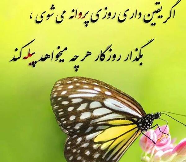 عکس صبا ها