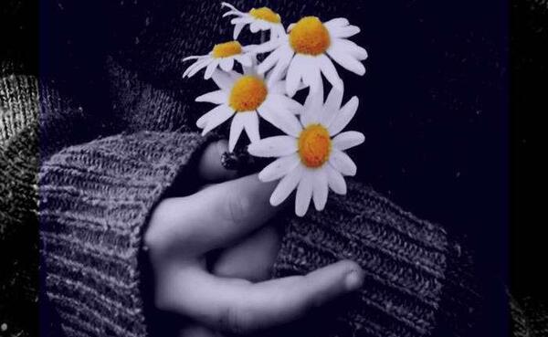 عکسهای ترسناک و خنده دار