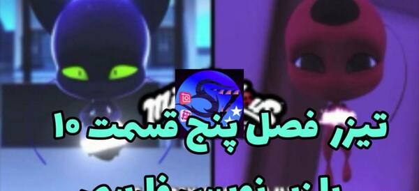 عکس معجزه گر کت نوار