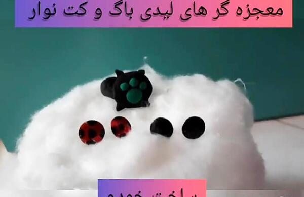 عکس معجزه گر کت نوار