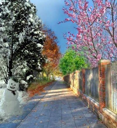 عکس در مورد چهار فصل