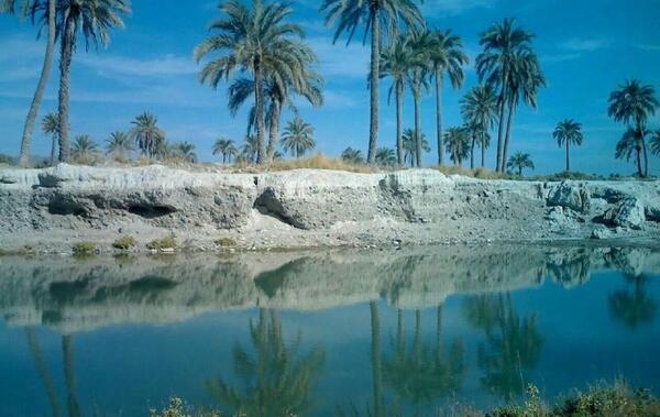 عکس در مورد چهار فصل