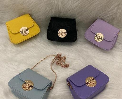 عکس مینی بگ