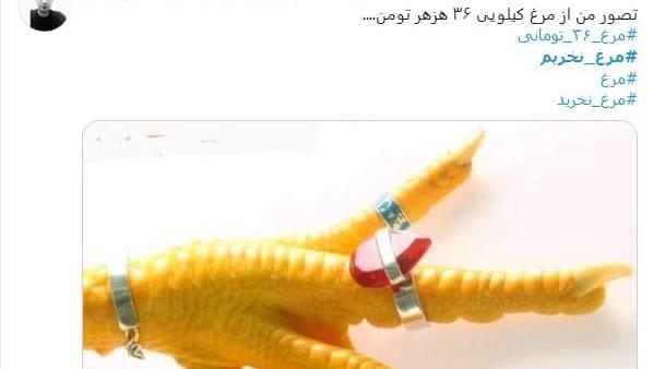 عکس عقاب مسخره