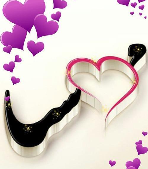 عکس نوشته مهسا و علیرضا