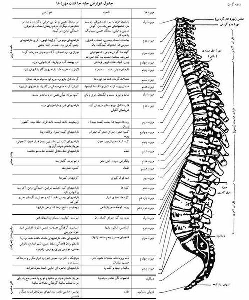 عکس دکتر جلیل گل عنبر