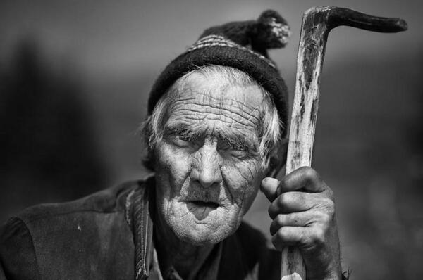 عکس پیری هالیت