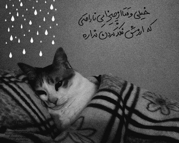 عکس دپ ناراحتی