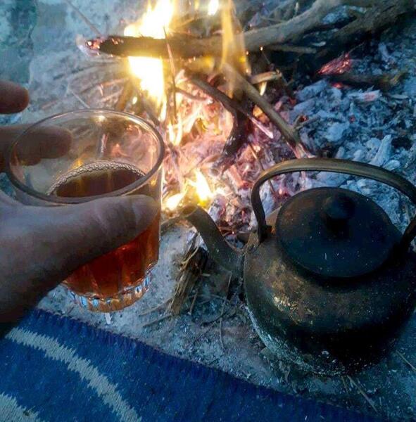 عکس چای فیک