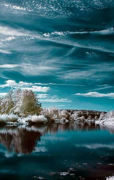 عکس تصویر زمینه طبیعت با کیفیت