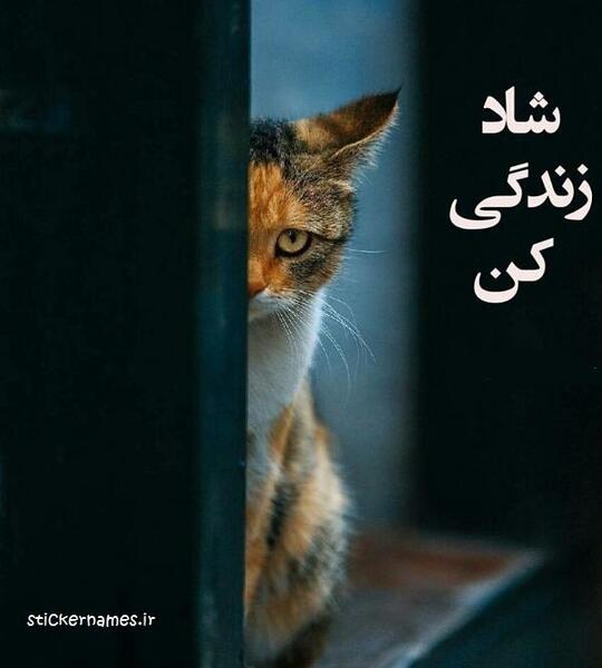 عکس نوشته زندگی فانتزی