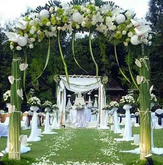 عکس دیزاین عروسی