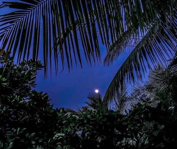 عکس شب ماه و ستاره