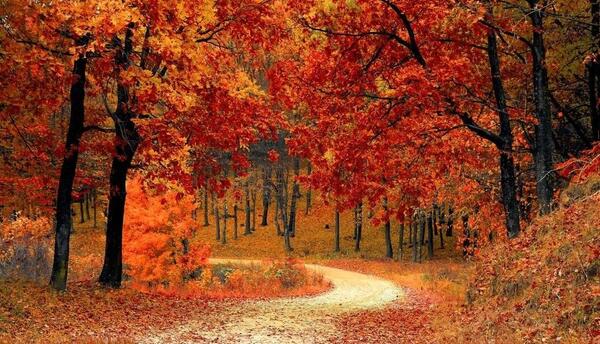 عکس پاییز پروفایل