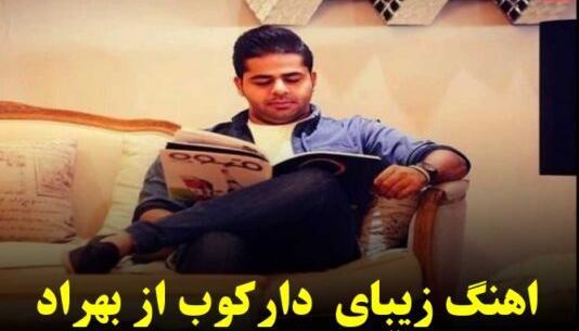 عکس فیلم دارکوب