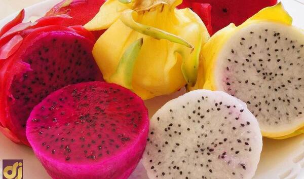 عکس مهدی قائدی جدیدترین