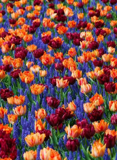 عکس تصویر زمینه فول اچ دی برای گوشی