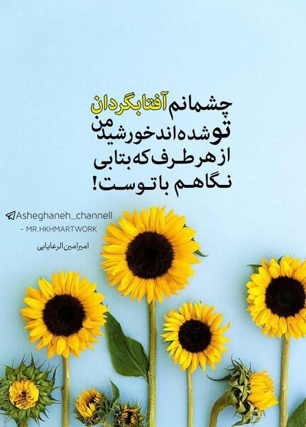 عکس گل افتاب گردان
