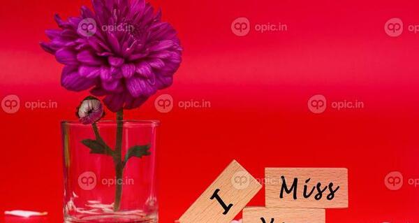 عکس قرمز گل