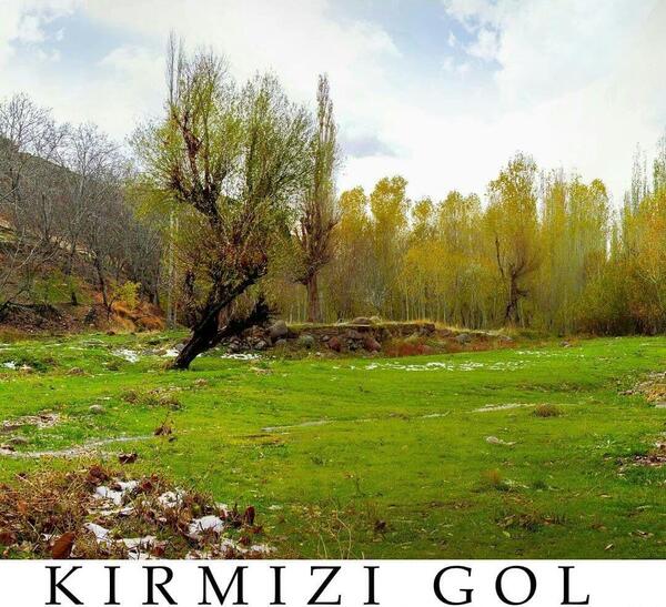 عکس قرمز گل