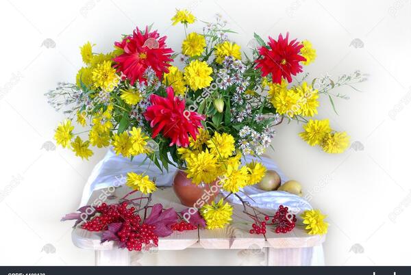 عکس قرمز گل