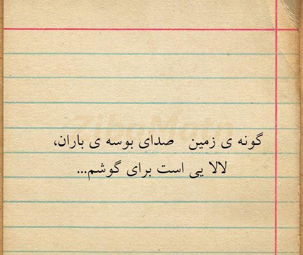 عکس نوشته گاهی باید زمین بخوری