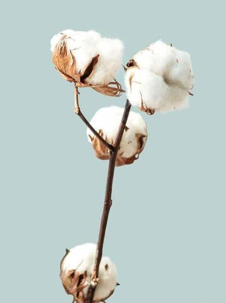 عکس نوشته گاهی باید زمین بخوری